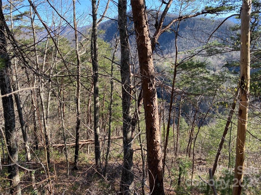 14 Blue Vista Road, Unit 14 Canton, NC 28716 - Photo 6 of 17 Gallery Image 6