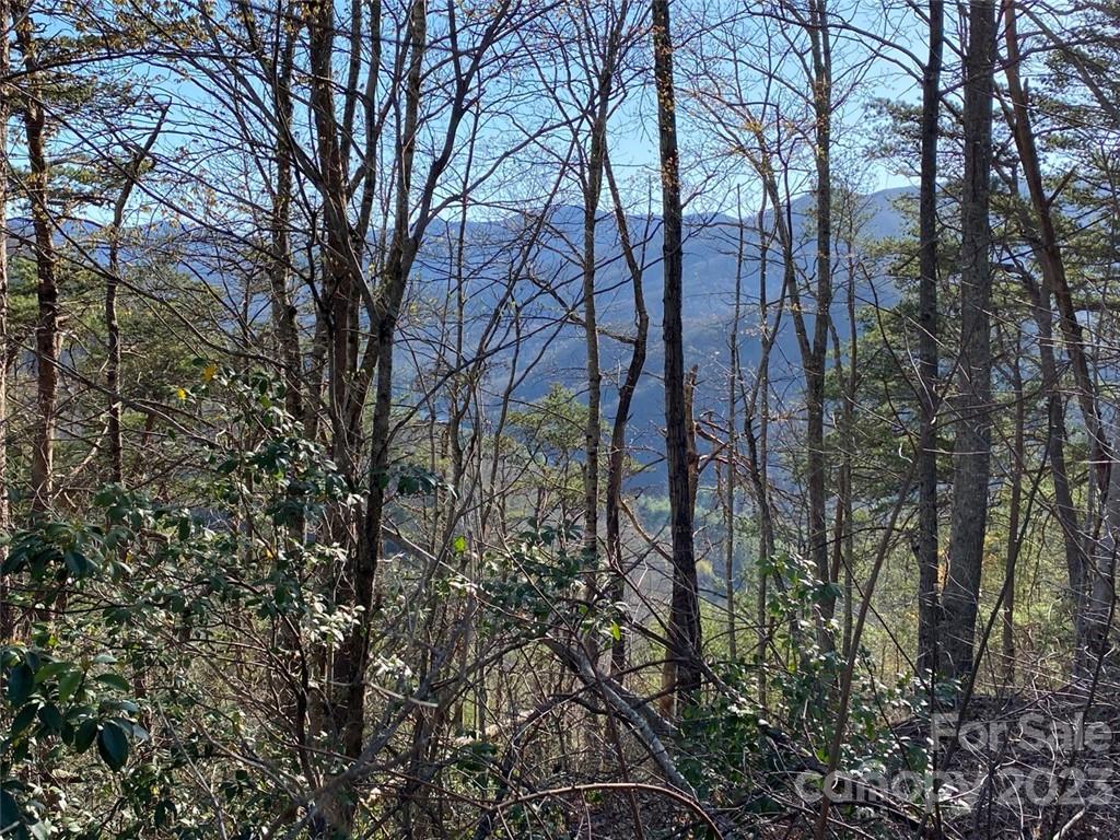 14 Blue Vista Road, Unit 14 Canton, NC 28716 - Photo 7 of 17 Gallery Image 7