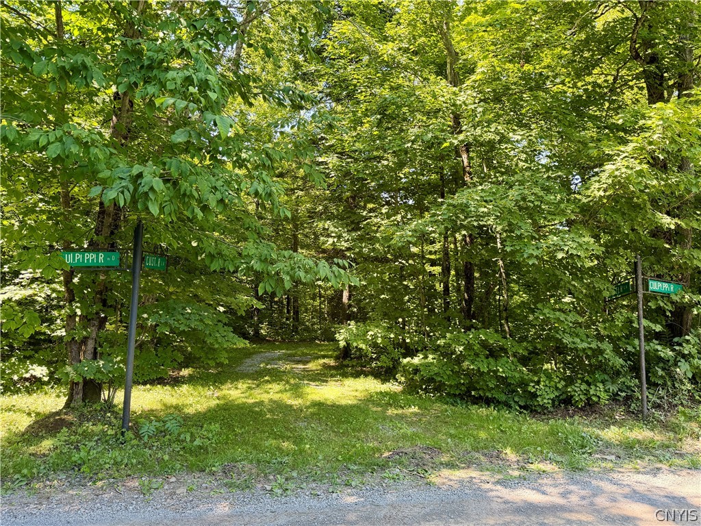 6319 Culpepper Road Montague, NY 13367 - Photo 26 of 32 driveway