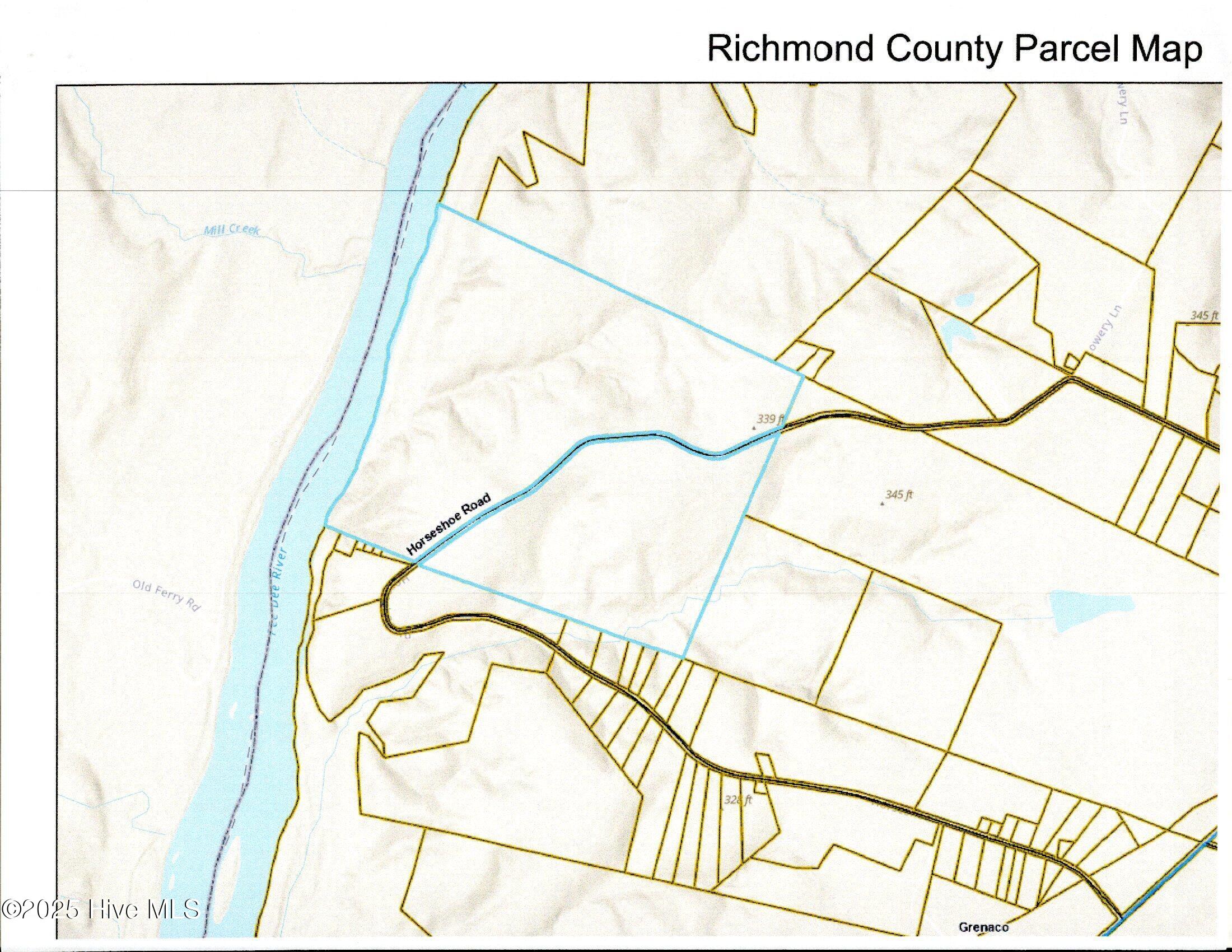 355.7 Horseshoe Road Rockingham, NC 28379 - Photo 11 of 11 Blue outlined area is site