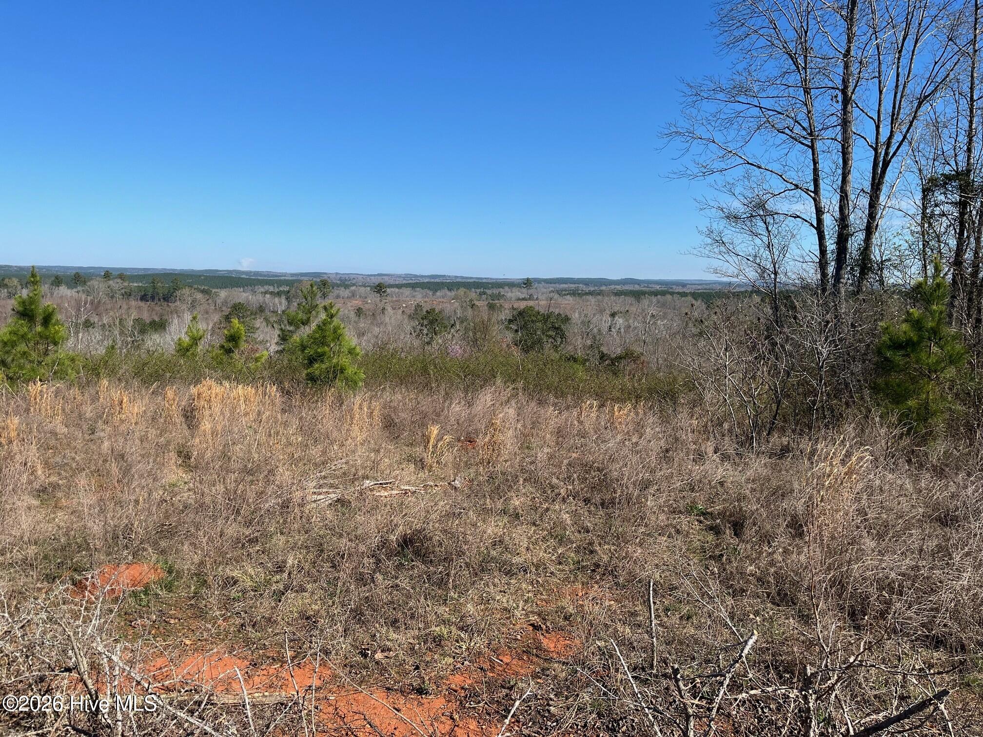355.7 Horseshoe Road Rockingham, NC 28379 - Photo 4 of 11 Noble