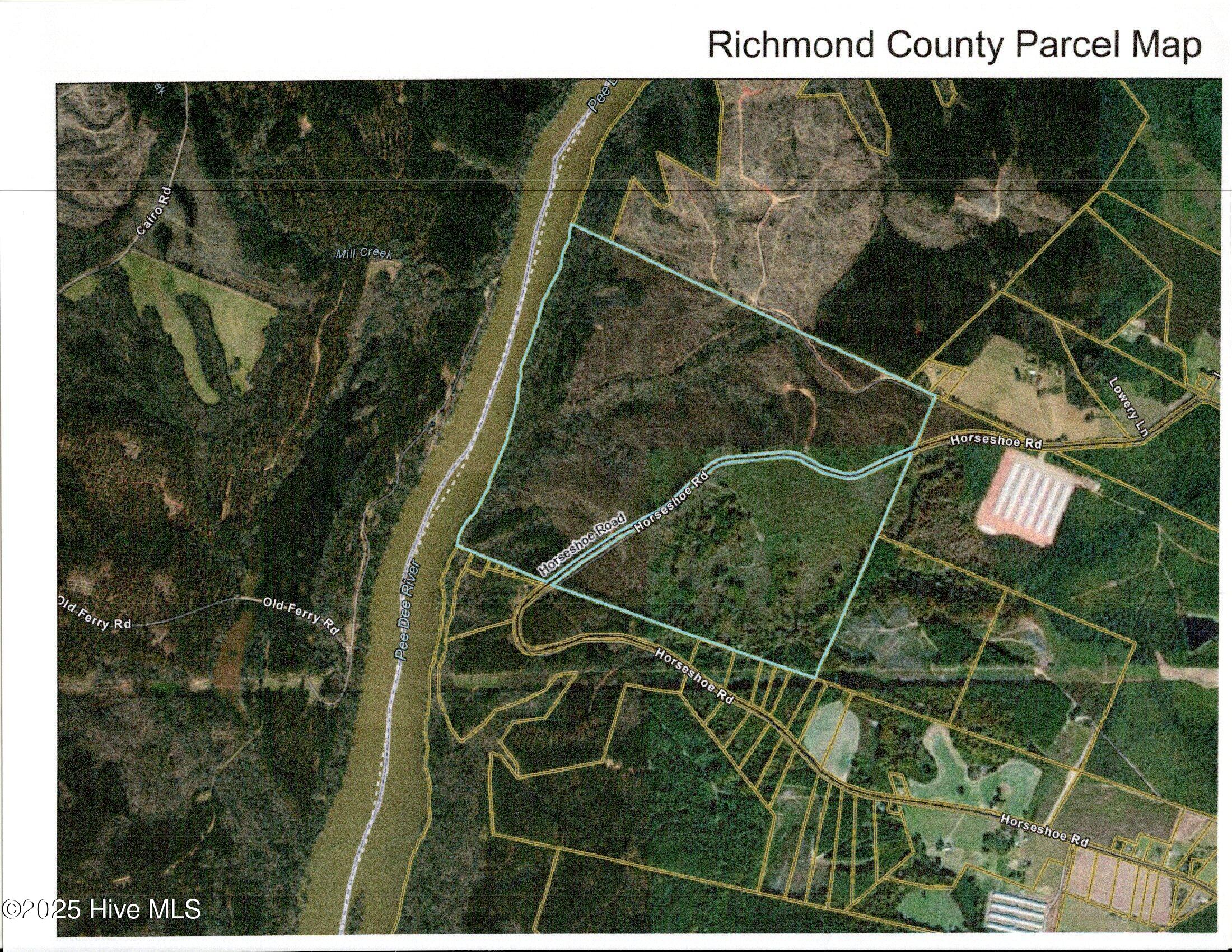 355.7 Horseshoe Road Rockingham, NC 28379 - Photo 8 of 11 Blue outlined area is site