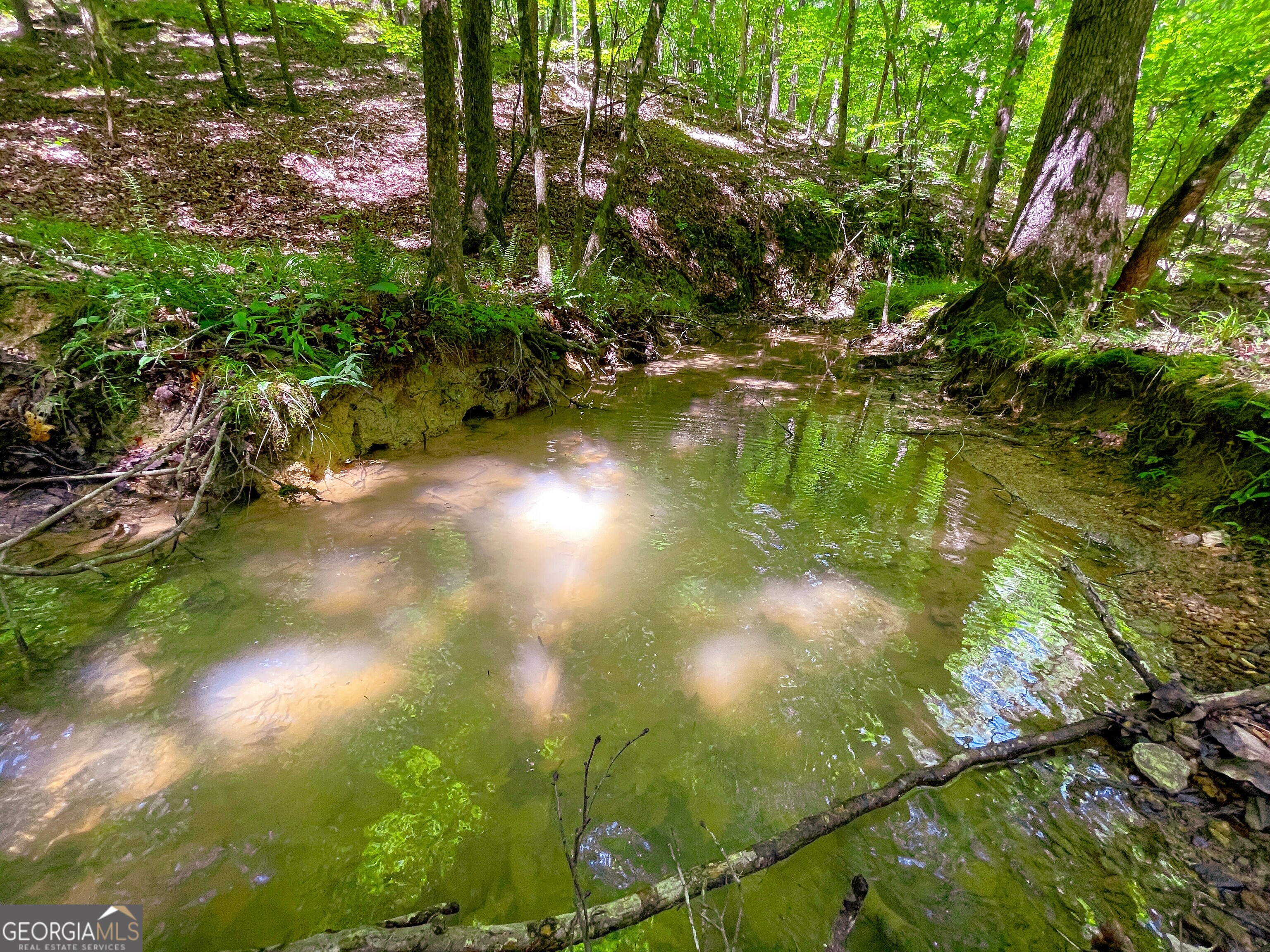 111 Acres Off Slate Mine Road Fairmount, GA 30139 - Photo 17 of 27 a view of a lake