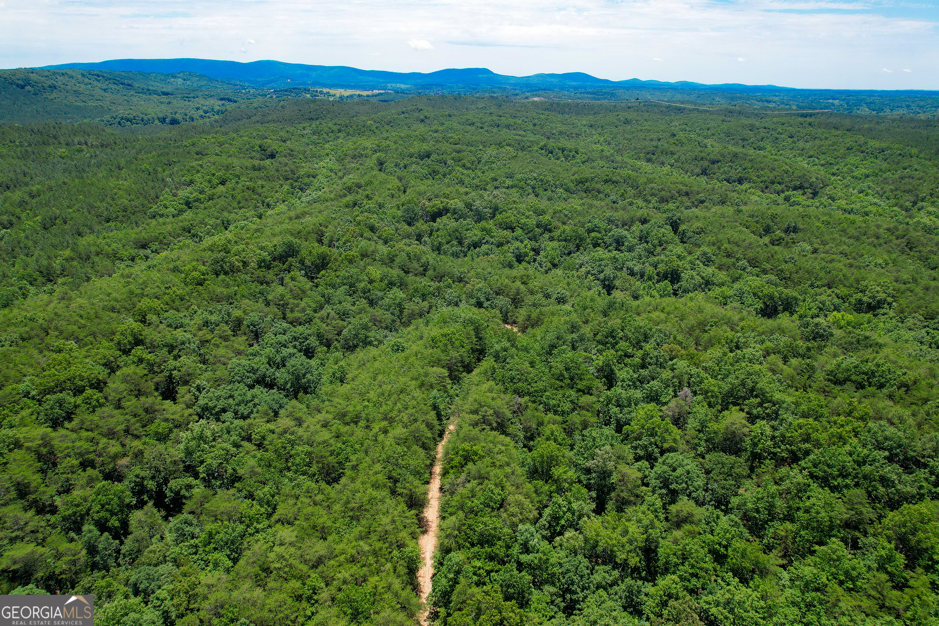 111 Acres Off Slate Mine Road Fairmount, GA 30139 - Photo 19 of 27 a view of a mountain range with lush green forest