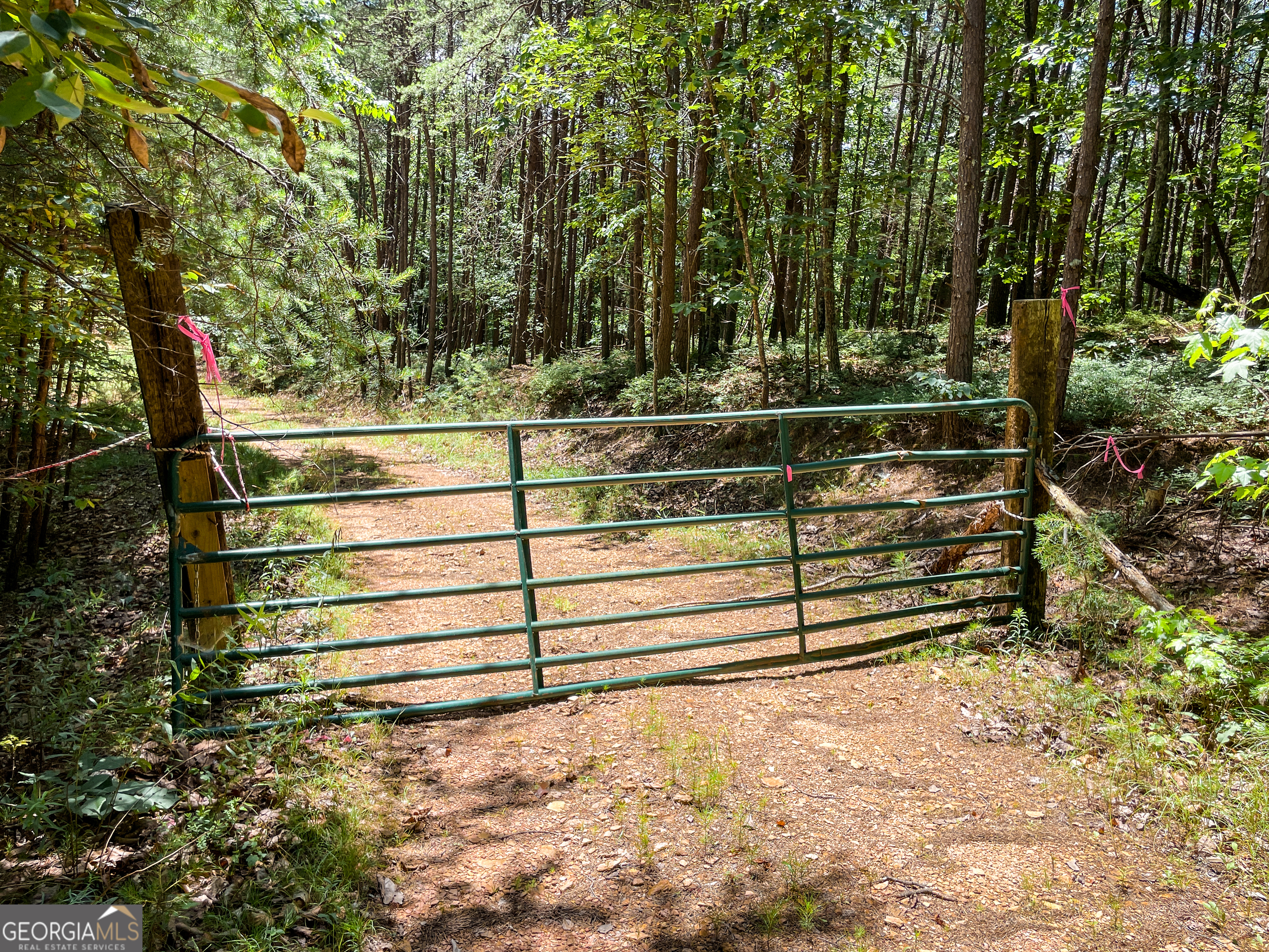 111 Acres Off Slate Mine Road Fairmount, GA 30139 - Photo 23 of 27 a view of outdoor space and deck