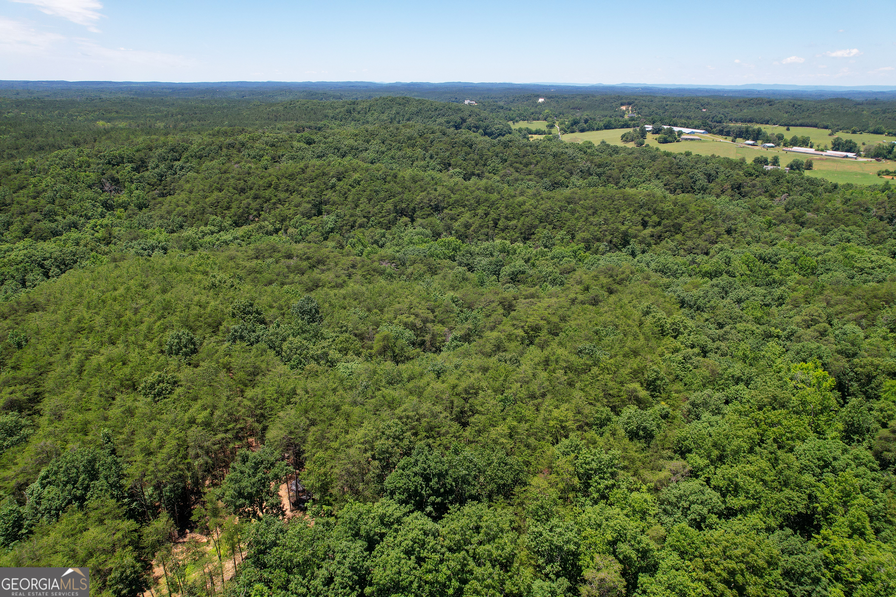 111 Acres Off Slate Mine Road Fairmount, GA 30139 - Photo 5 of 27 an aerial view of residential houses with outdoor space and trees