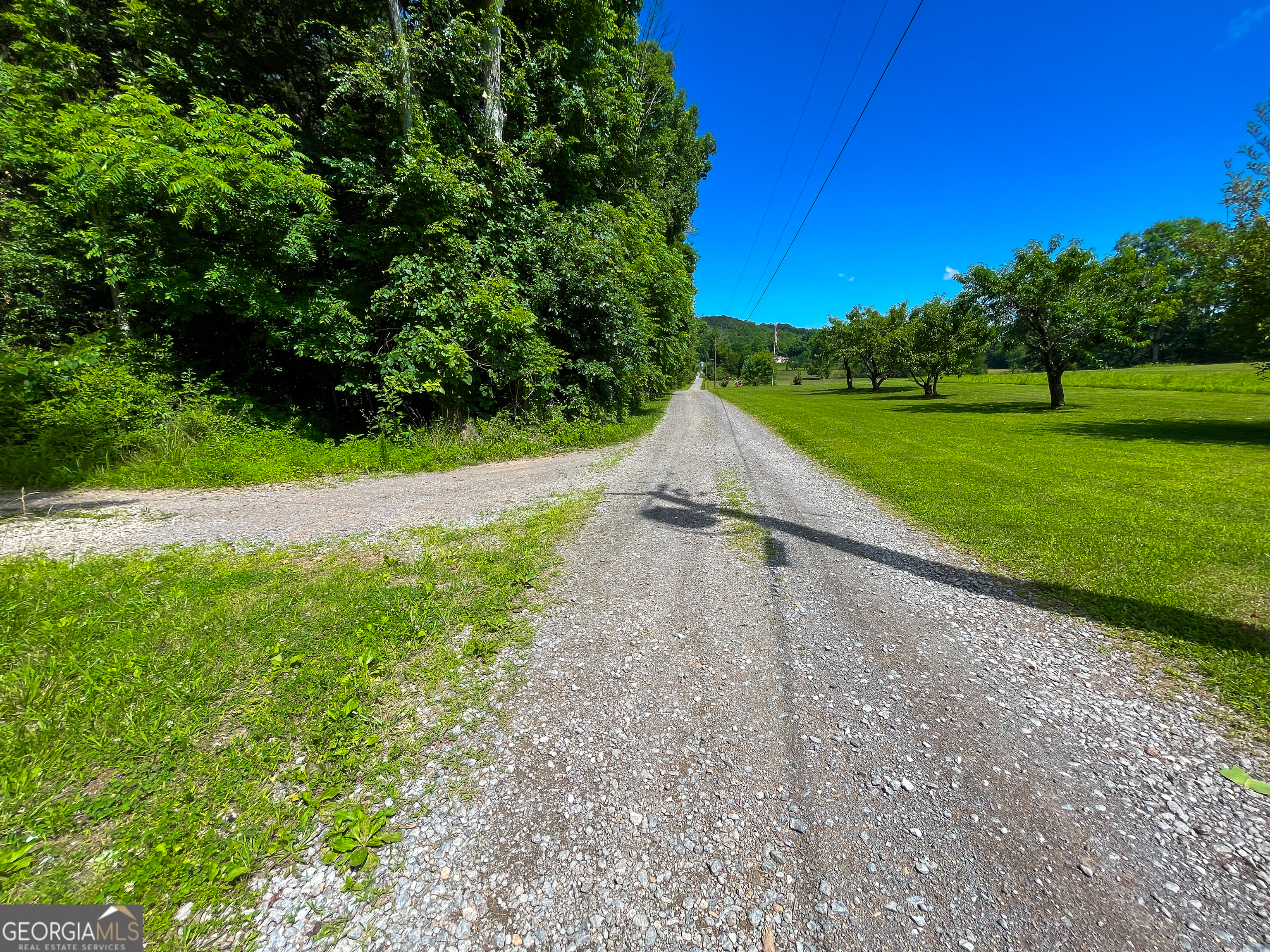111 Acres Off Slate Mine Road Fairmount, GA 30139 - Photo 9 of 27 a view of outdoor space with garden