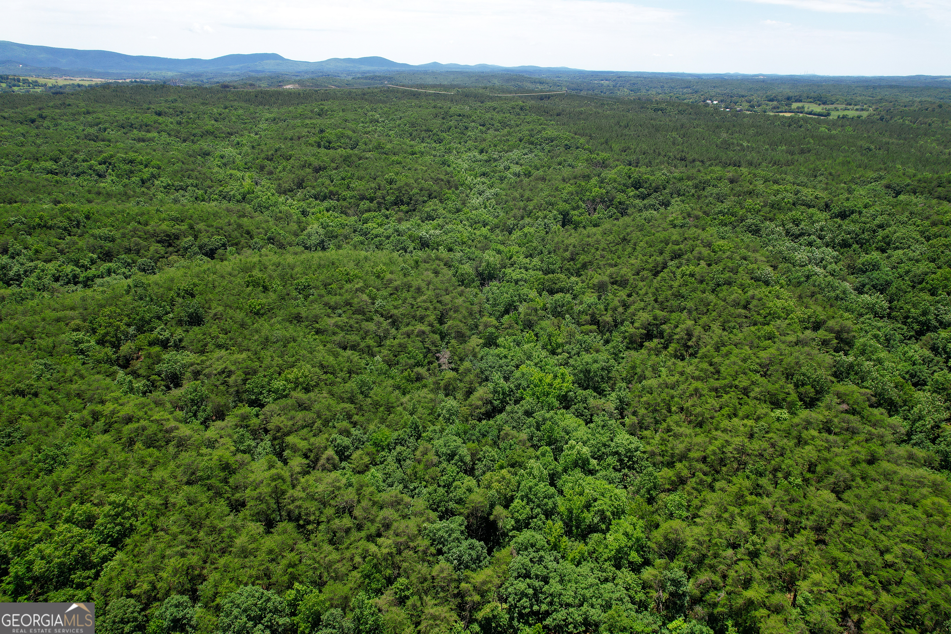 111 Acres Off Slate Mine Road Fairmount, GA 30139 - Photo 10 of 27 a view of a lush green forest with a mountain