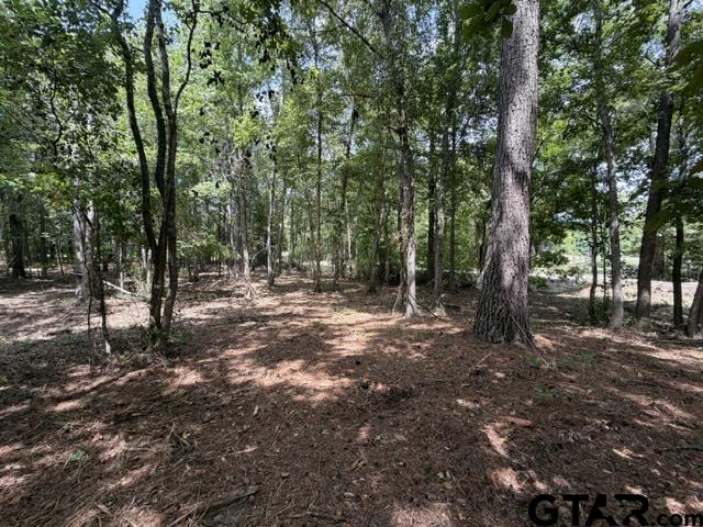 0 County Road 1204 Rusk, TX 75785 - Photo 39 of 39 Gallery Image 39