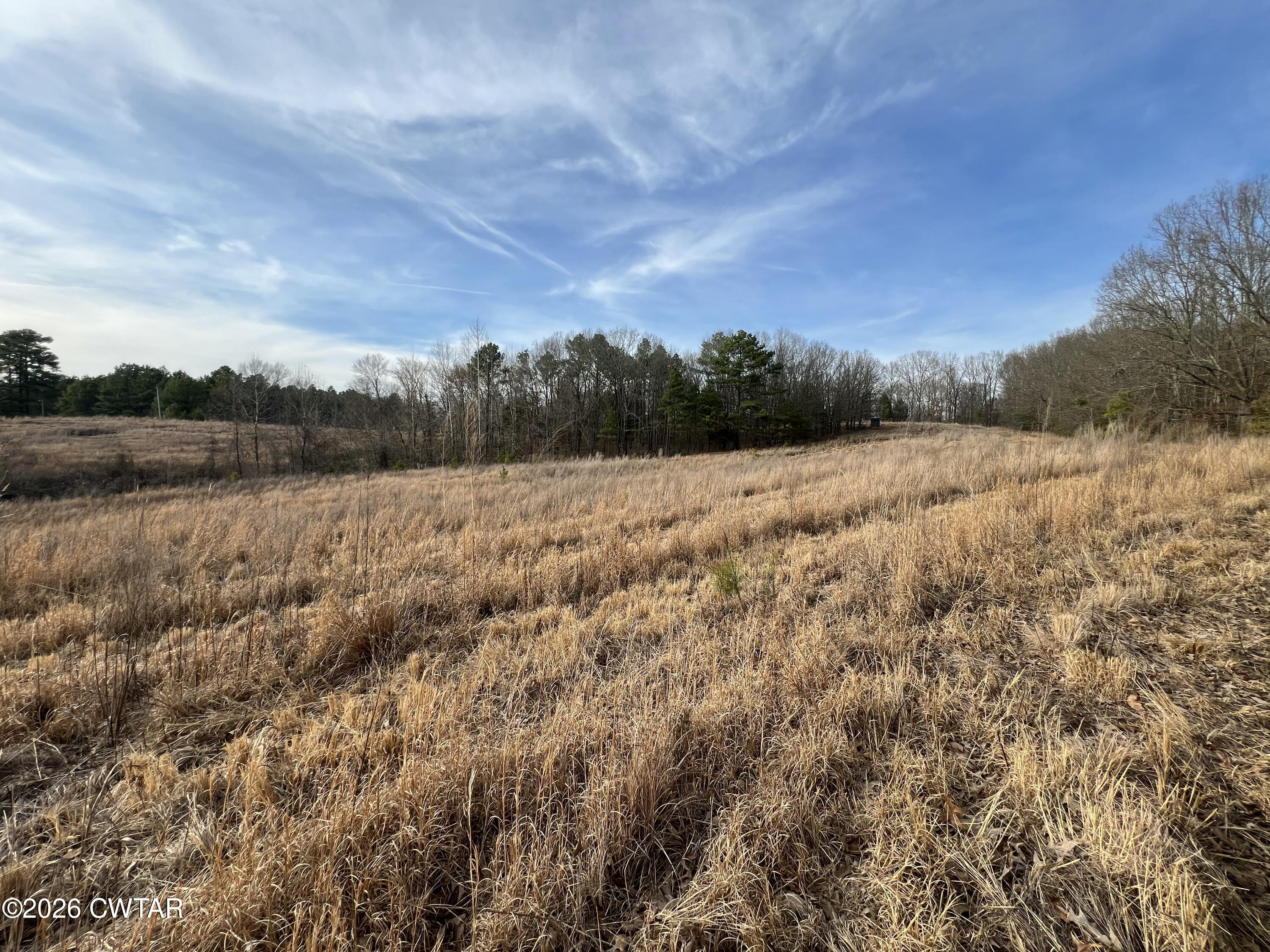 0 Mitchell Road Greenfield, TN 38230 - Photo 12 of 23 IMG_5441