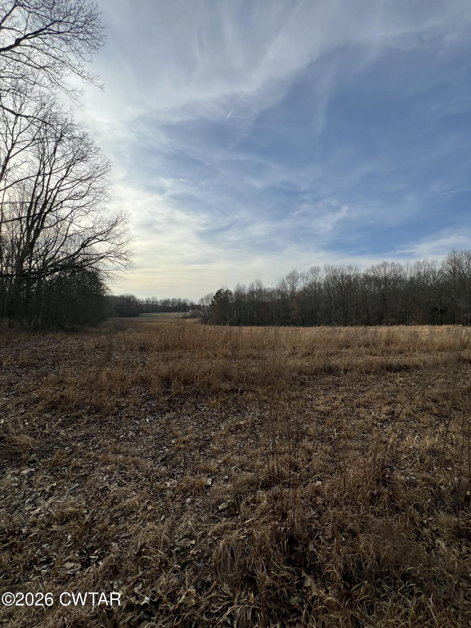 0 Mitchell Road Greenfield, TN 38230 - Photo 18 of 23 IMG_5447