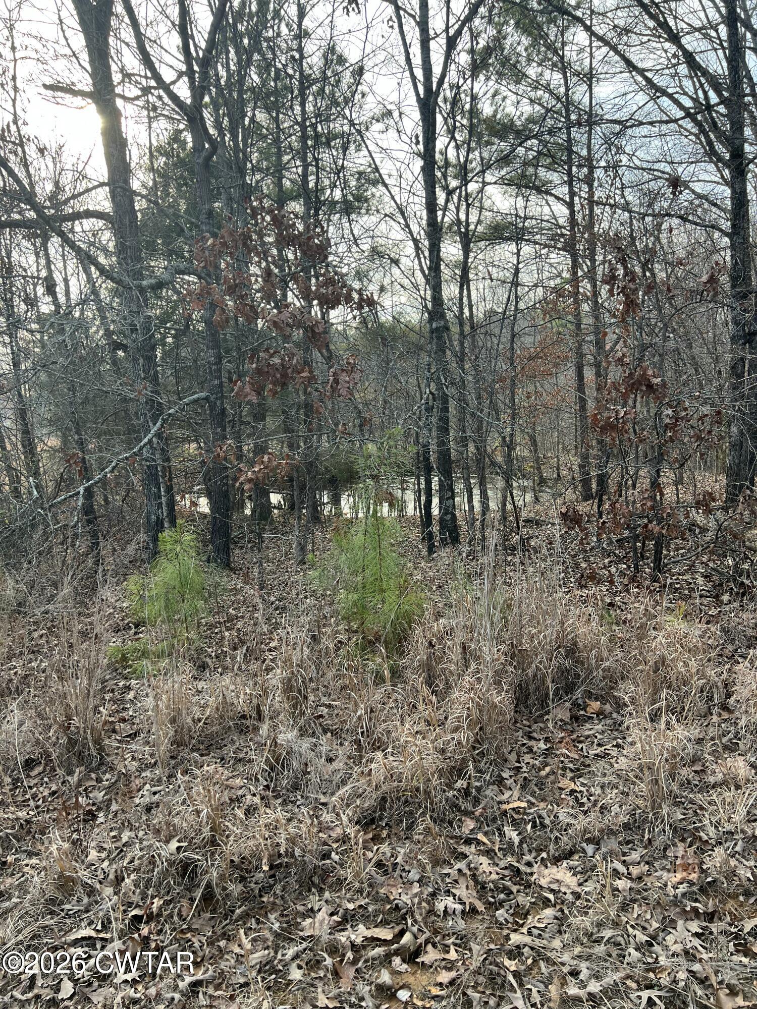 0 Mitchell Road Greenfield, TN 38230 - Photo 10 of 23 IMG_5439