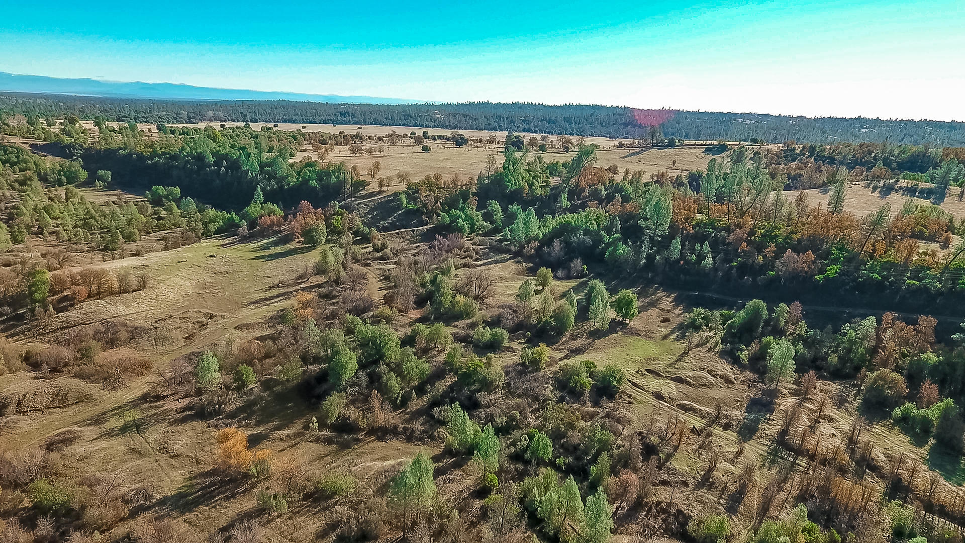 Foster Road Cottonwood, CA 96022 - Photo 14 of 16 vlcsnap-2018-12-06-14h31m48s327
