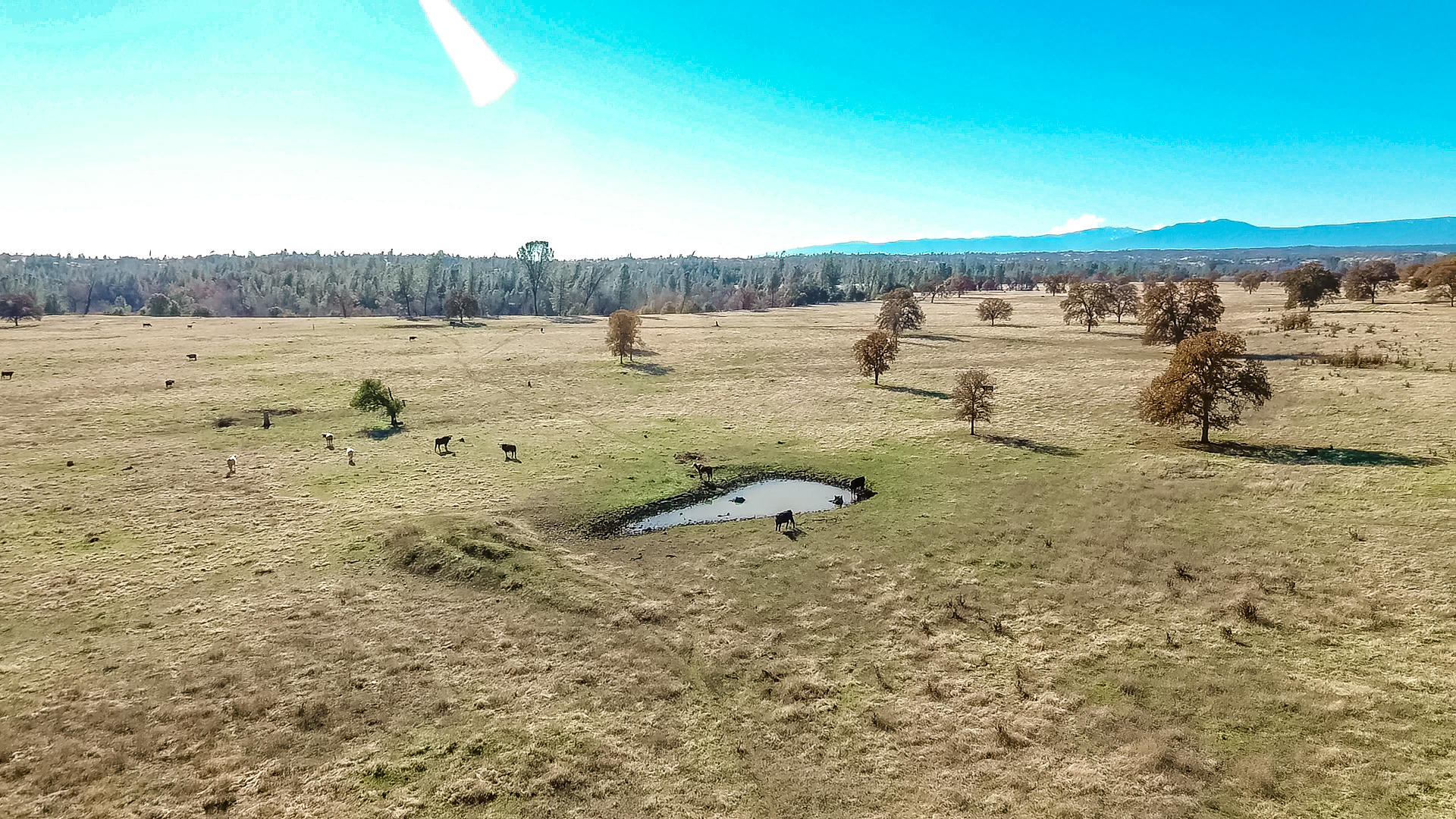 Foster Road Cottonwood, CA 96022 - Photo 15 of 16 vlcsnap-2018-12-06-14h32m03s606
