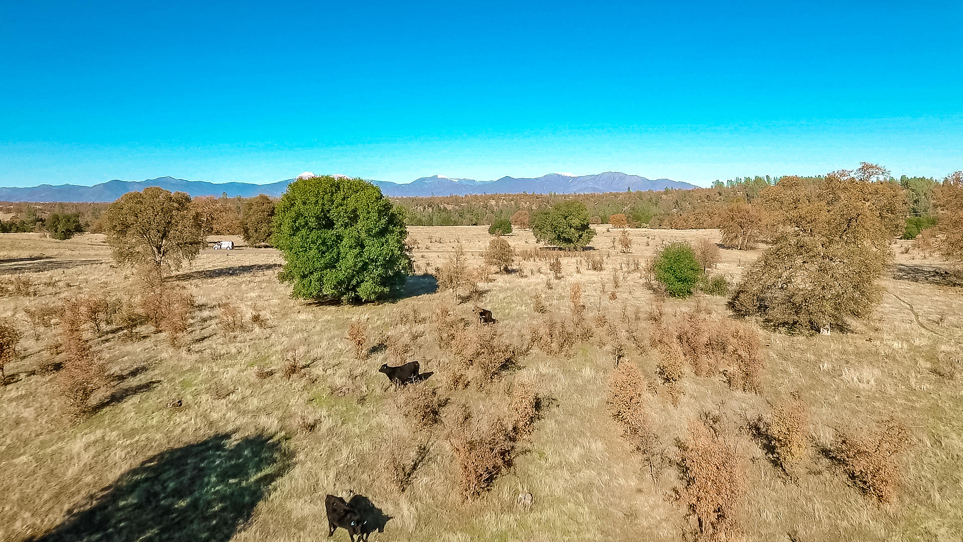 Foster Road Cottonwood, CA 96022 - Photo 16 of 16 vlcsnap-2018-12-06-14h32m05s026