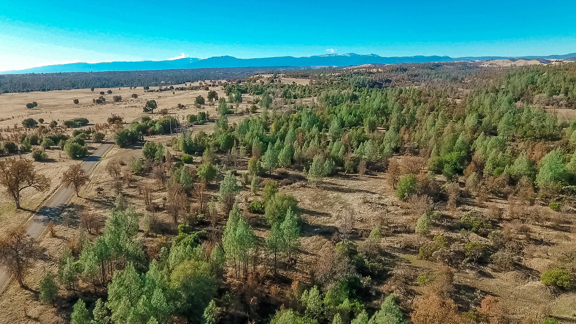Foster Road Cottonwood, CA 96022 - Photo 4 of 16 vlcsnap-2018-12-06-14h30m11s074