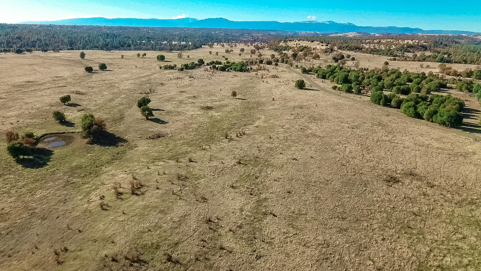 Foster Road Cottonwood, CA 96022 - Photo 8 of 16 vlcsnap-2018-12-06-14h31m10s146