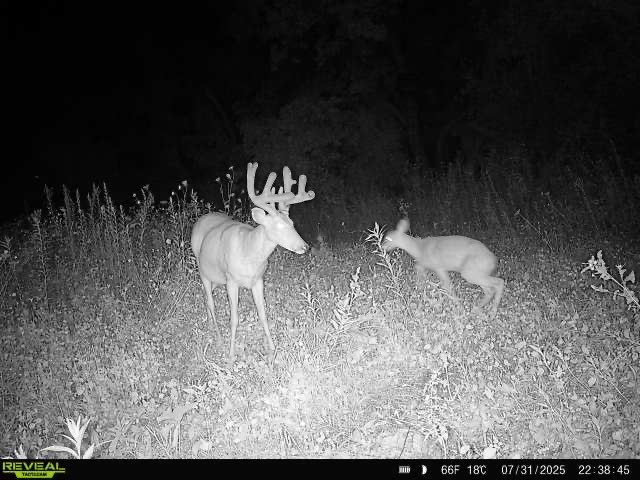 Xx Xx Simons Road Mondovi, WI 54755 - Photo 8 of 45