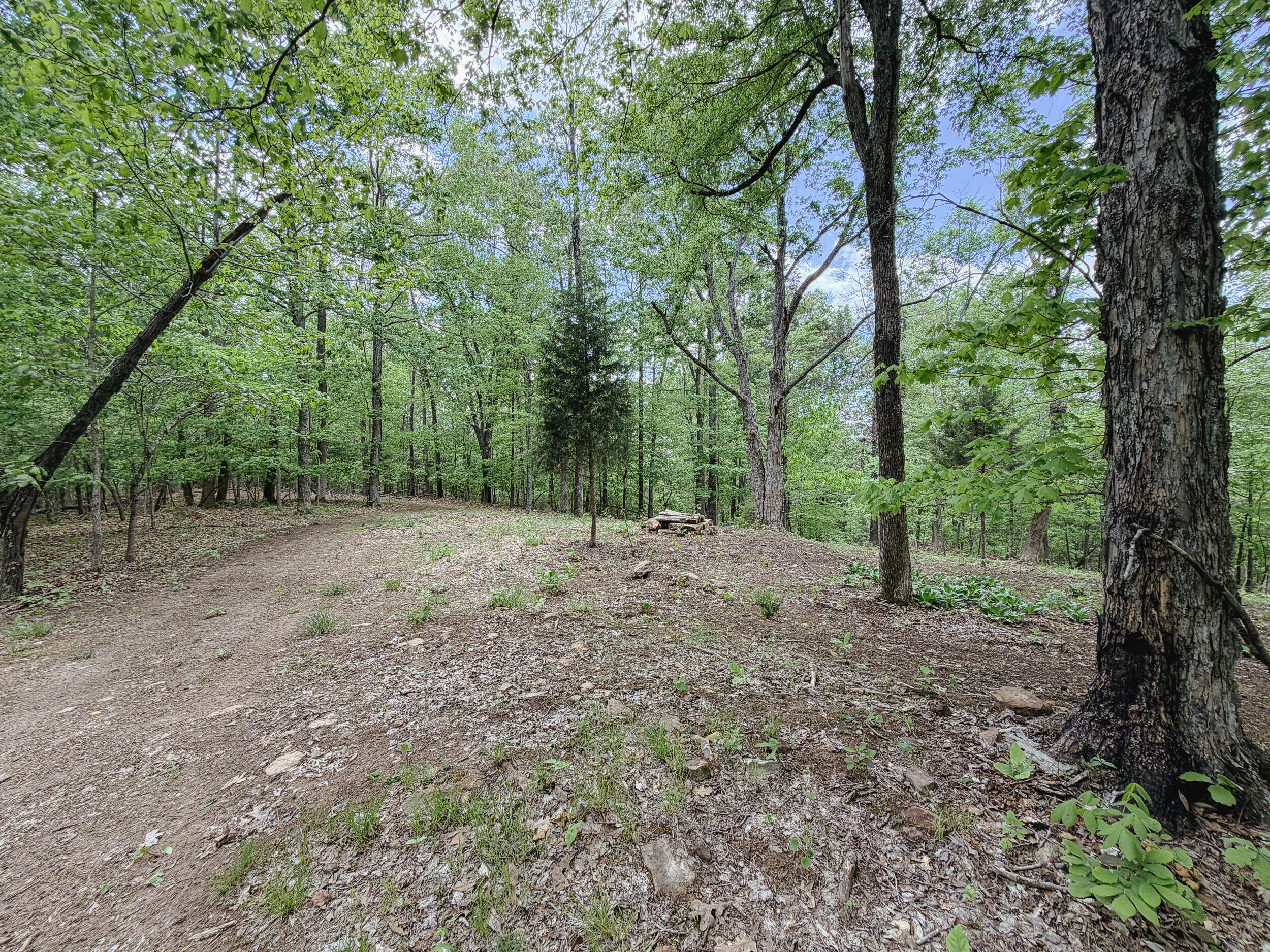 406 Lakewood Road, Unit TRACT 3 Princeton, KY 42445 - Photo 19 of 21 20260419-IMG_1836