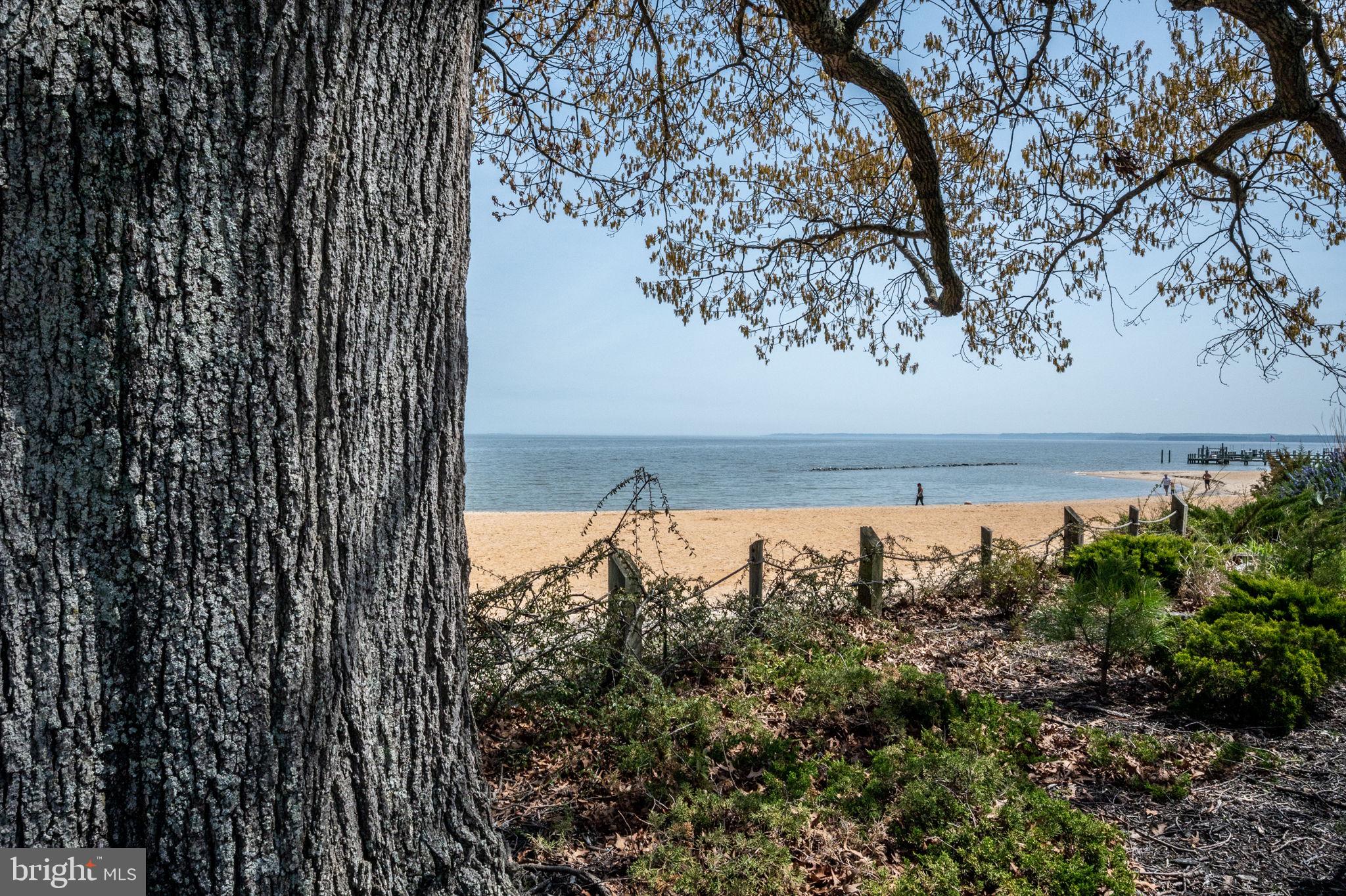 57 Oak Lane Colonial Beach, VA 22443 - Photo 53 of 64