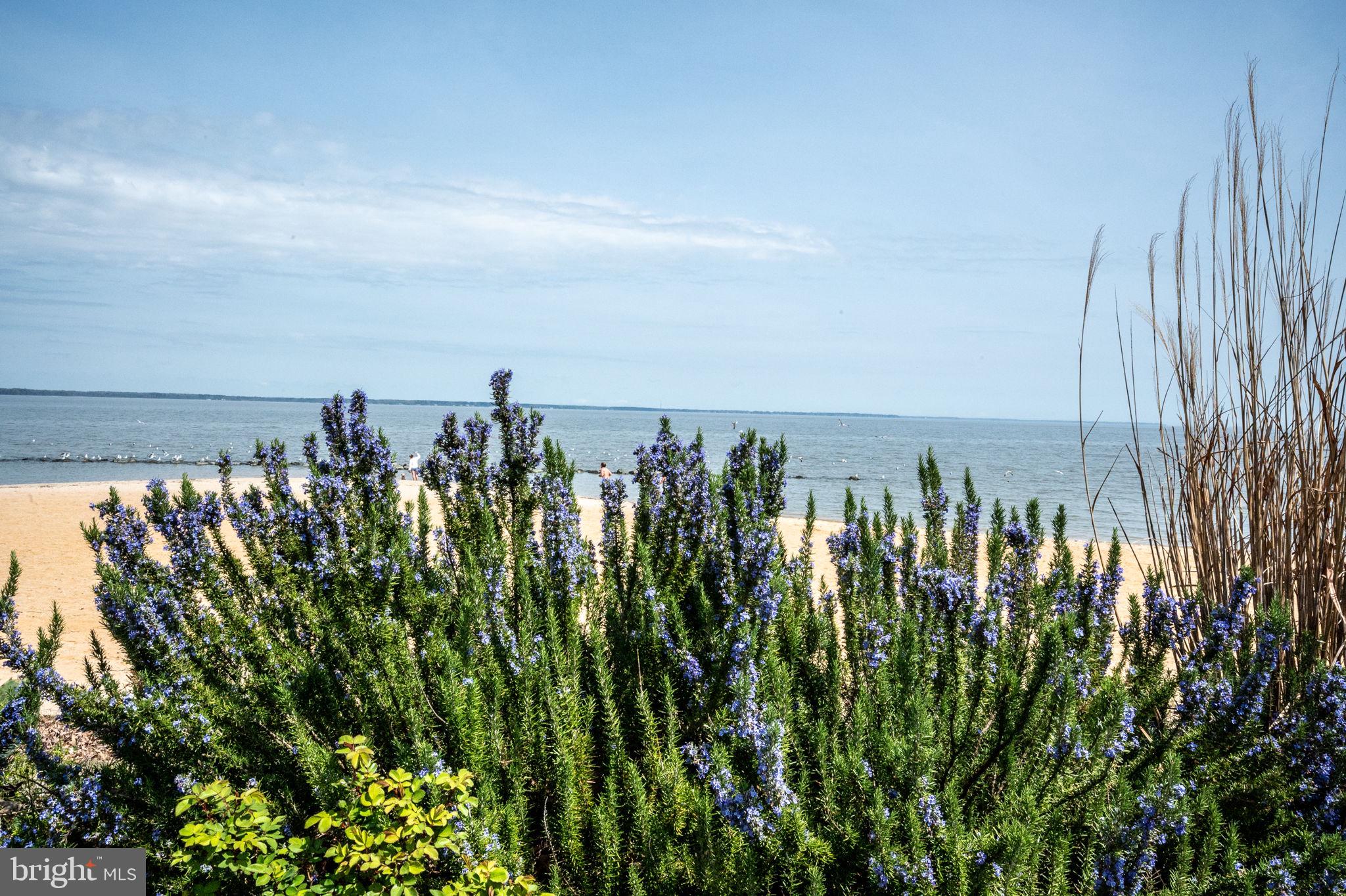 57 Oak Lane Colonial Beach, VA 22443 - Photo 54 of 64