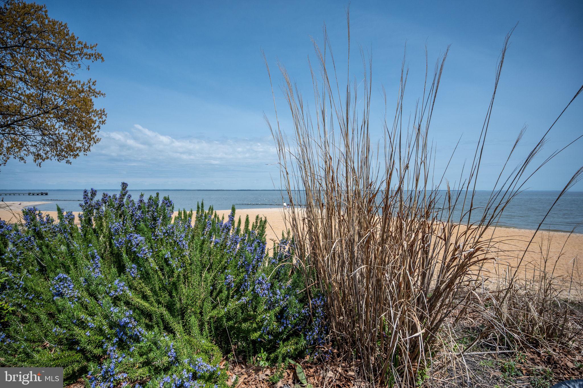 57 Oak Lane Colonial Beach, VA 22443 - Photo 57 of 64