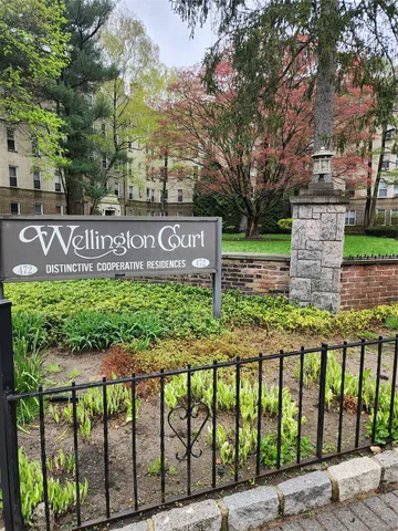 a view of a street sign under a large tree