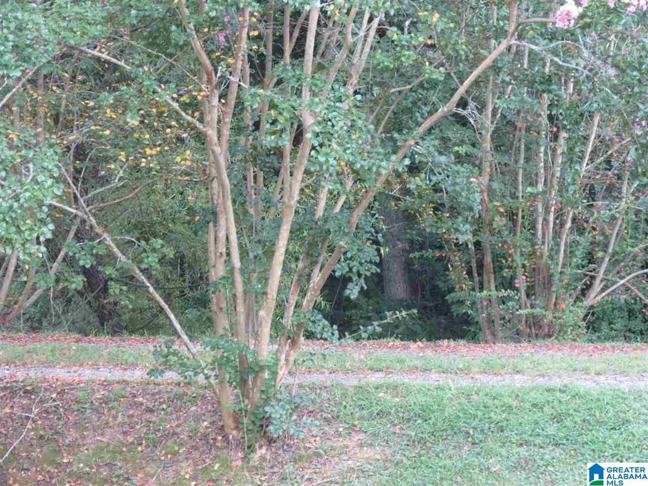 3260 Highway 27 Oneonta Al Oneonta, AL 35121 - Photo 29 of 37