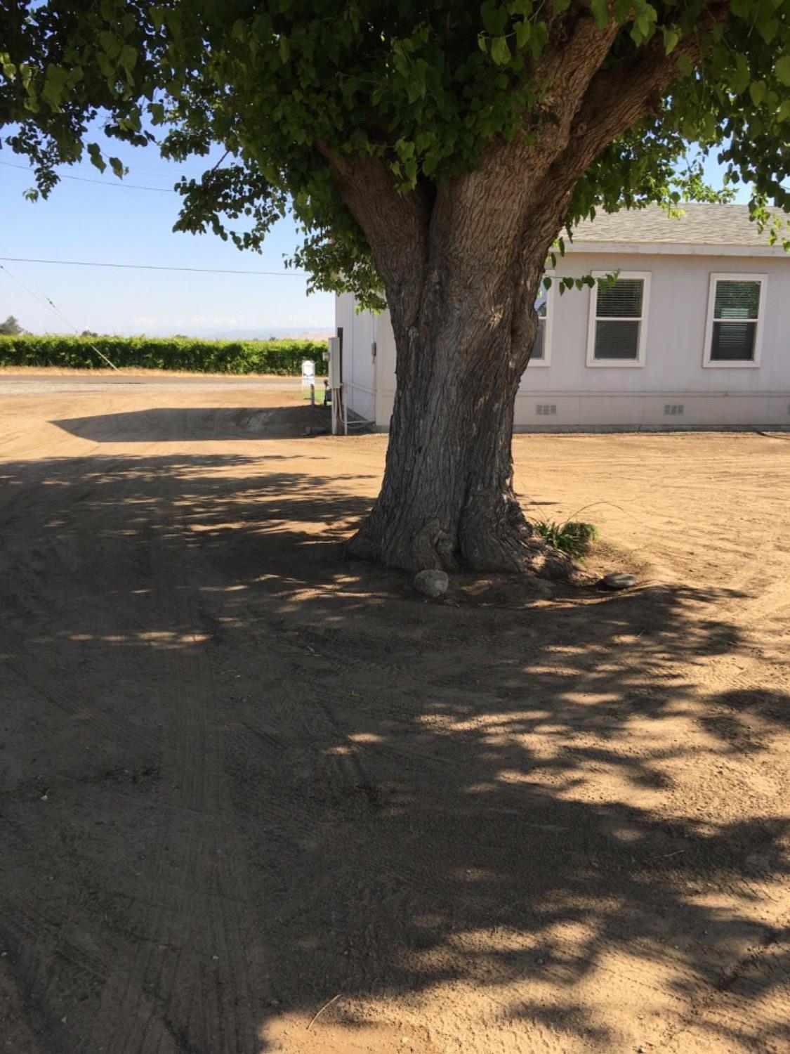 19309 East Adams Avenue Reedley, CA 93654 - Photo 10 of 27 Gallery Image 10