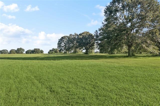 348 Rd Franklinton La Franklinton, LA 70438 - Photo 11 of 25