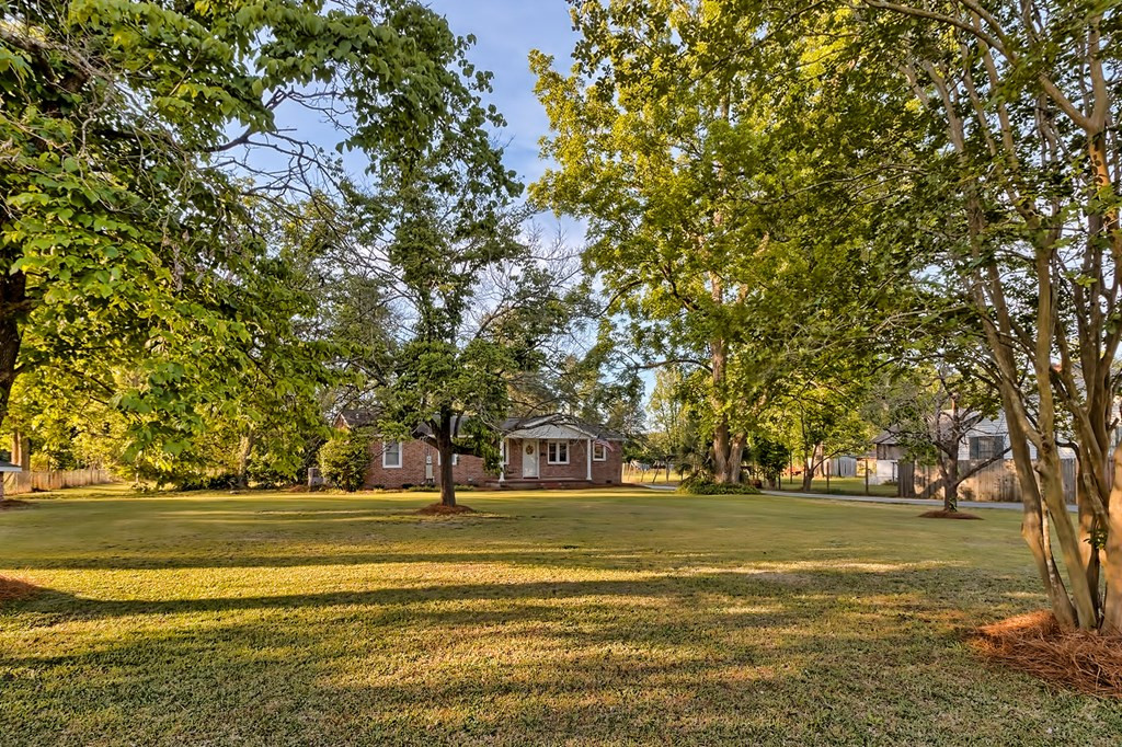 271 State Rd S-38-263 Branchville, SC 29432 - Photo 23 of 25 Photo 23