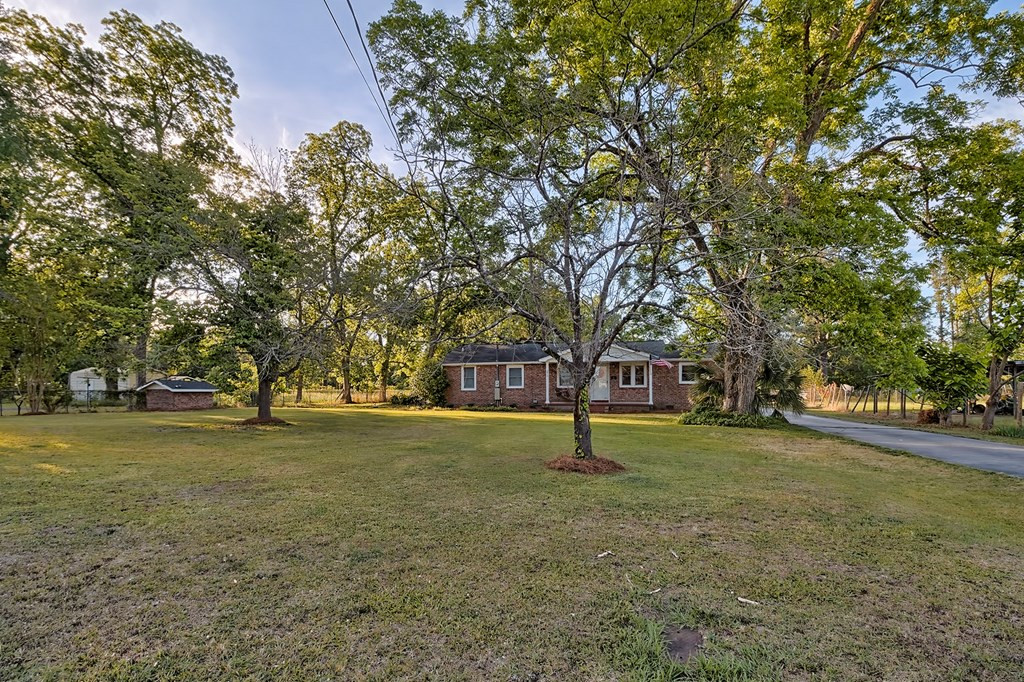 271 State Rd S-38-263 Branchville, SC 29432 - Photo 24 of 25 Photo 24