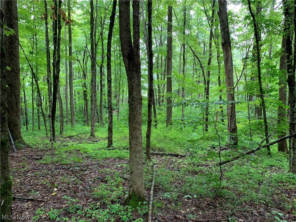 Bowers Road Mansfield, OH 44903 - Photo 26 of 35 Gallery Image 26