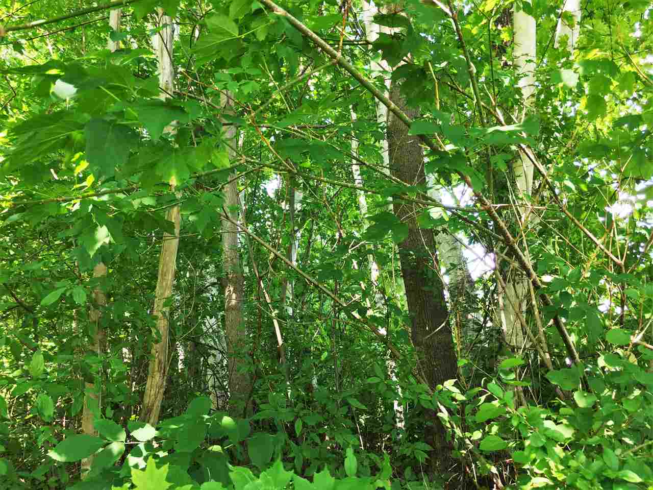 Putnam Street Bennington, VT 05201 - Photo 23 of 24 Gallery Image 23