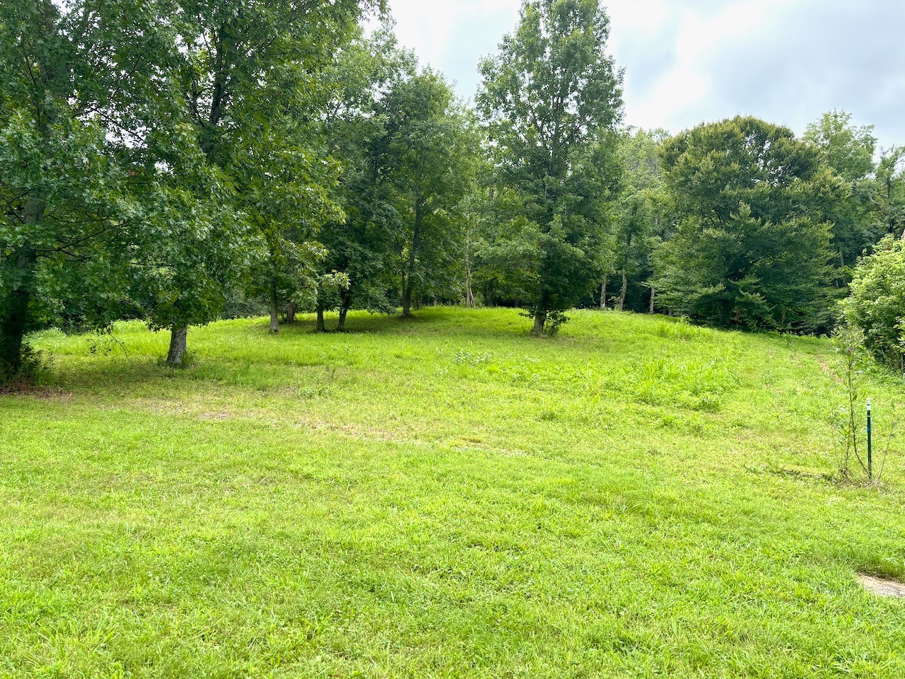 564 Dry Branch Road Dixon Springs, TN 37057 - Photo 2 of 6 Gallery Image 2