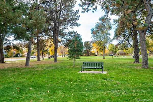 a green field with lots of trees