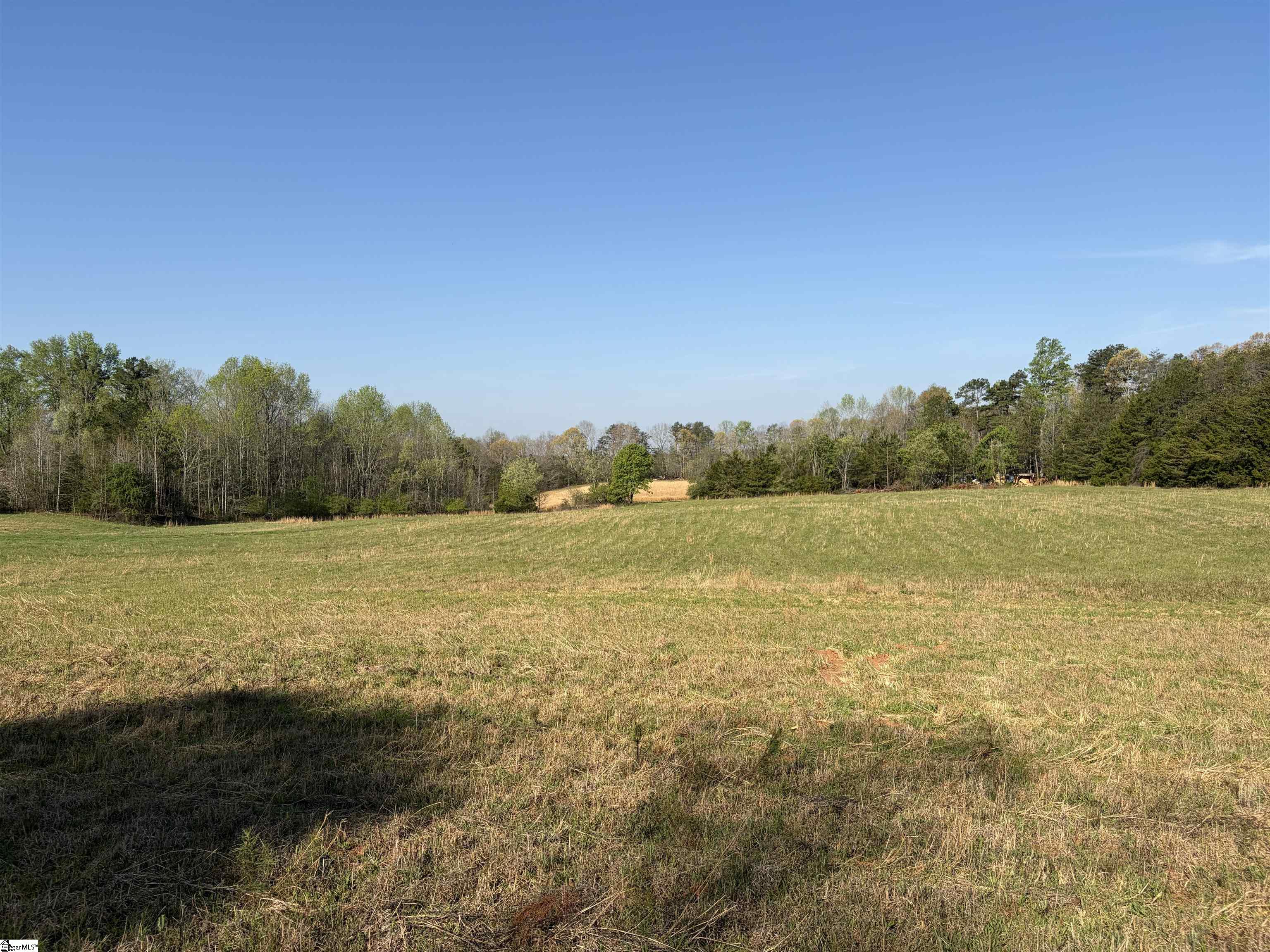 1005 Robinson Bridge Road Liberty, SC 29657 - Photo 1 of 13 Gallery Image 1