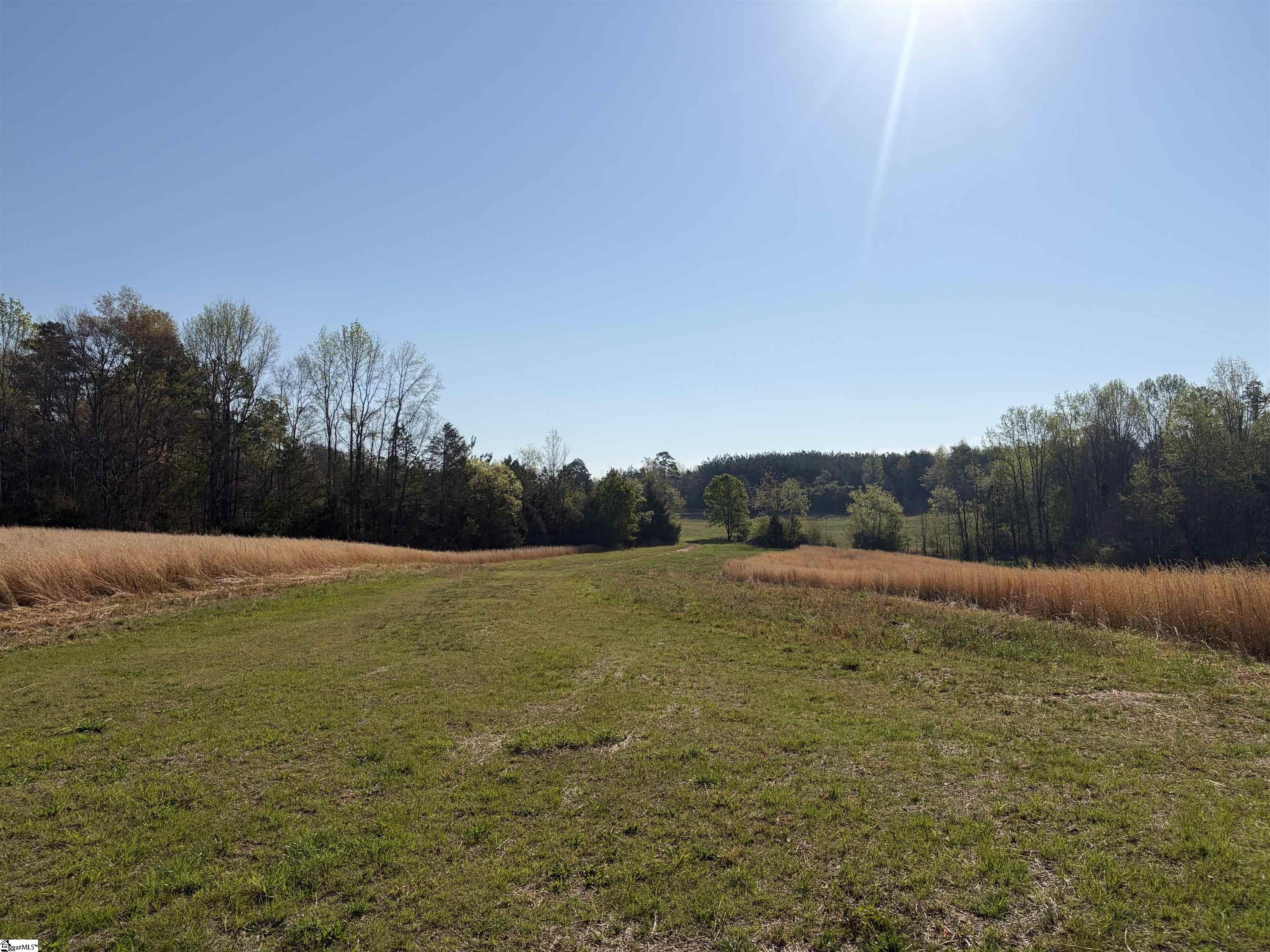 1005 Robinson Bridge Road Liberty, SC 29657 - Photo 2 of 13 Gallery Image 2
