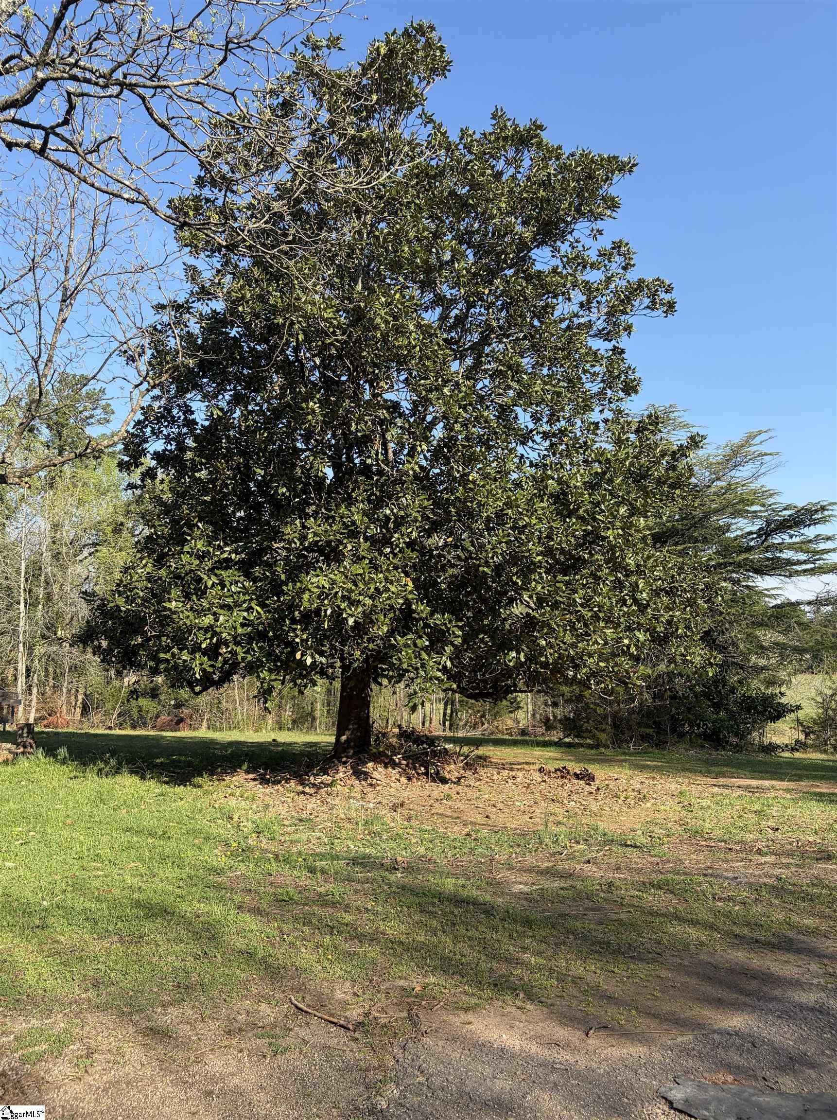 1005 Robinson Bridge Road Liberty, SC 29657 - Photo 4 of 13 Gallery Image 4