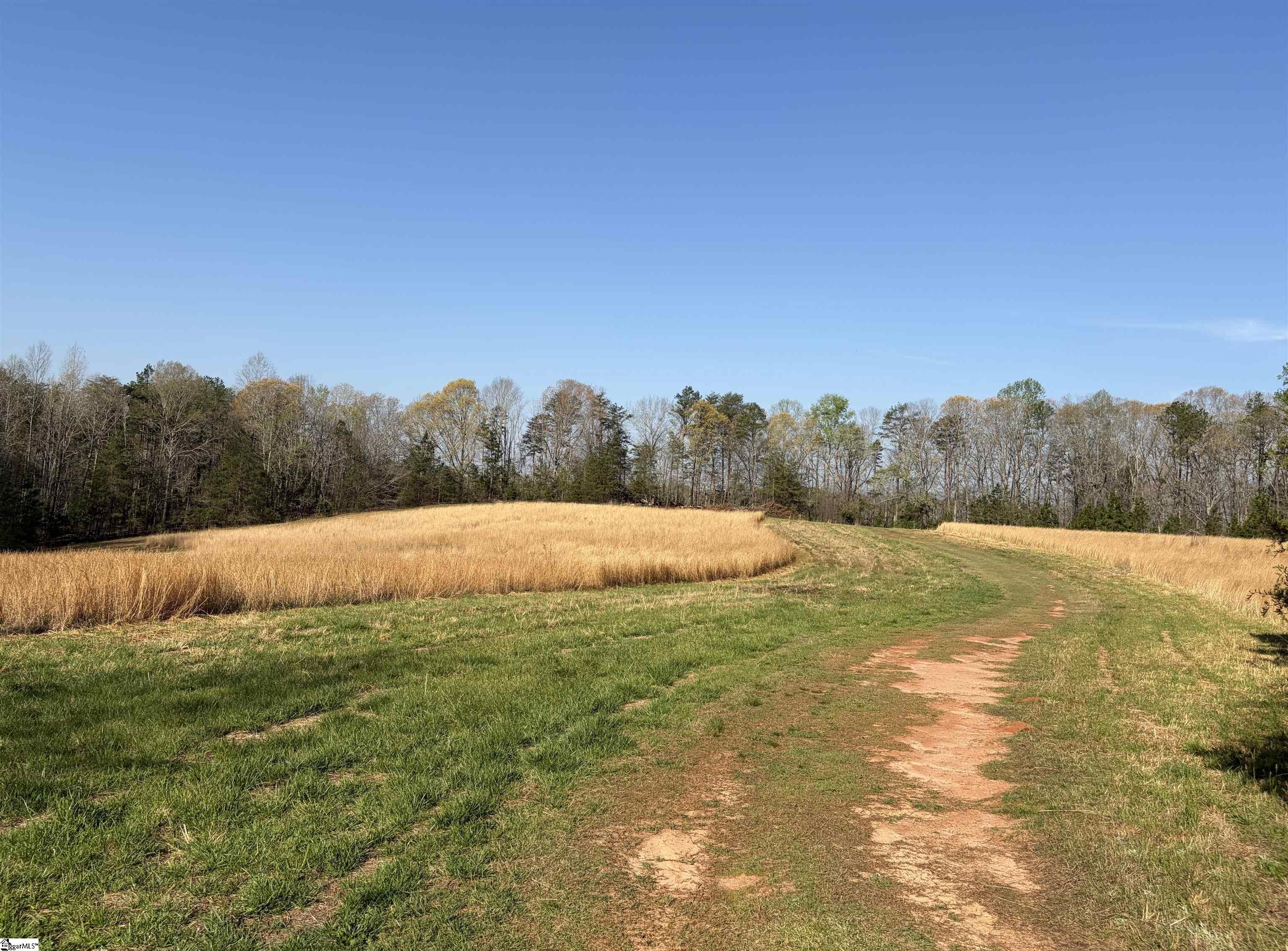 1005 Robinson Bridge Road Liberty, SC 29657 - Photo 7 of 13 Gallery Image 7