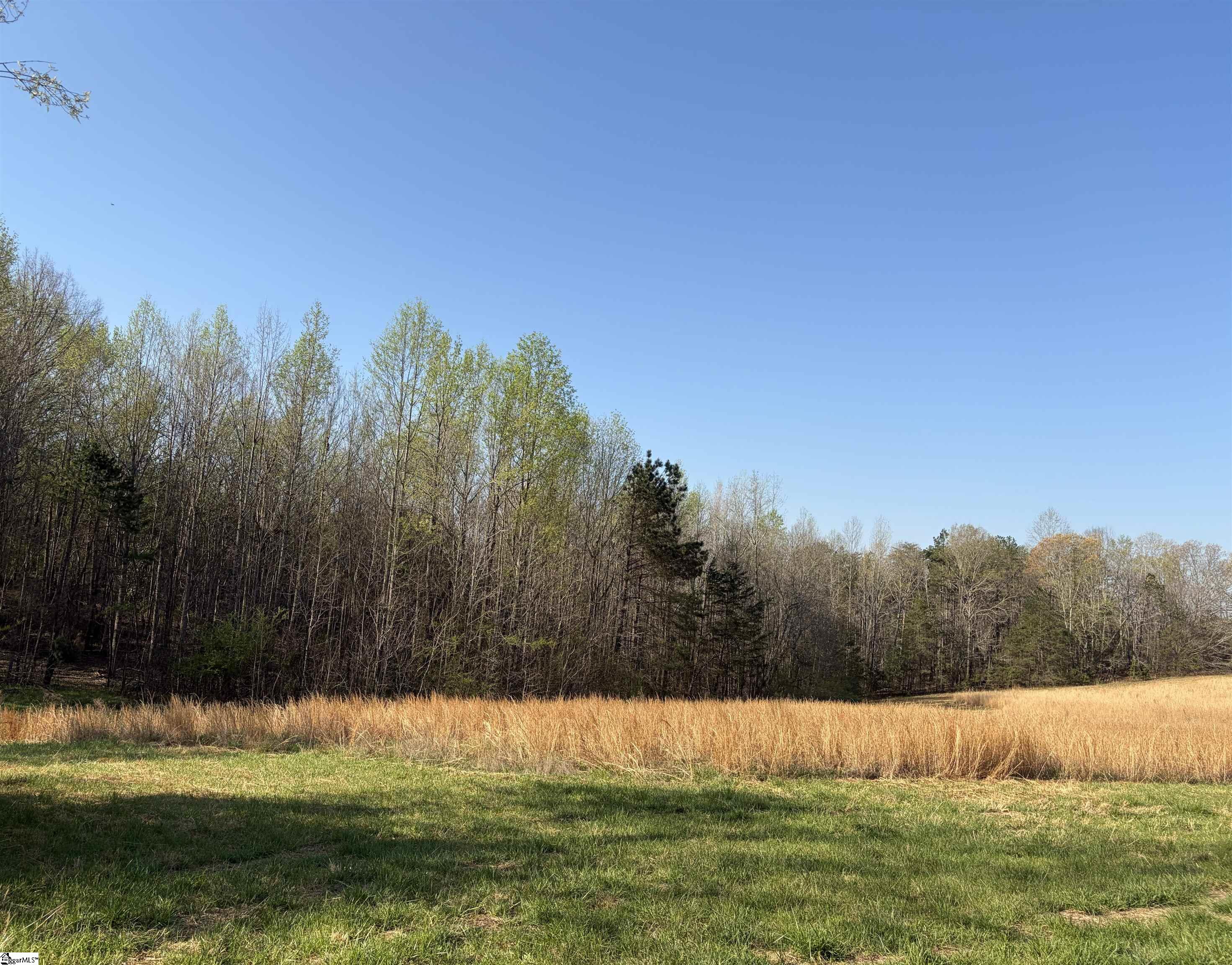 1005 Robinson Bridge Road Liberty, SC 29657 - Photo 8 of 13 Gallery Image 8