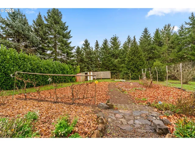 a view of yard with tree