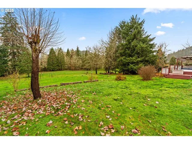 a view of a park with large trees