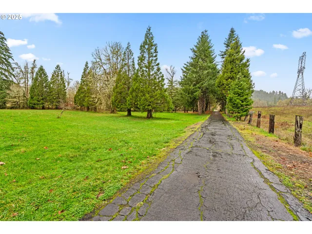 a view of a yard with palm trees