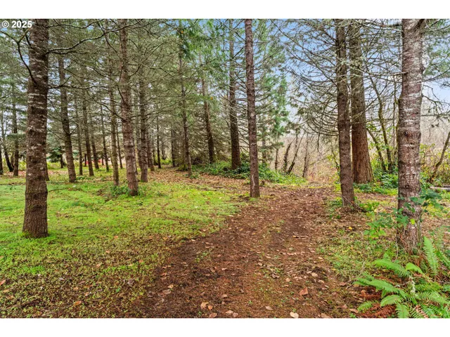 a view of outdoor space with trees