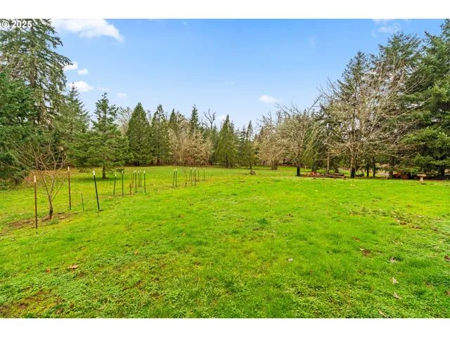 a view of a grassy field with trees in the background