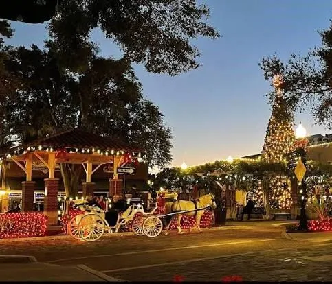 $1,295,000 | 250 North Walker Street, Oakland, FL 34760