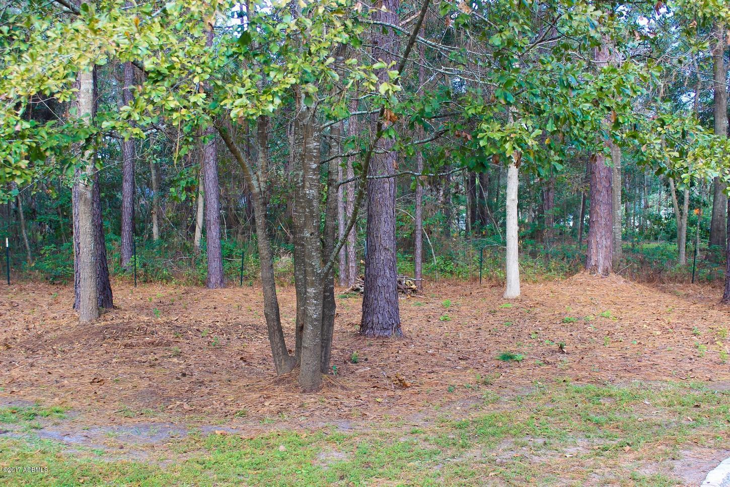 753 Sams Point Road Beaufort, SC 29907 - Photo 27 of 29 Back Lot