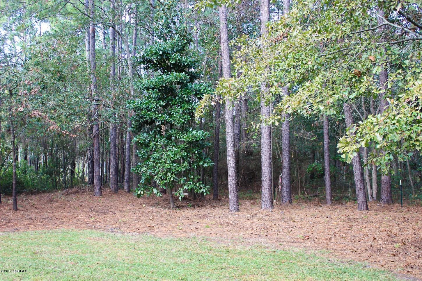 753 Sams Point Road Beaufort, SC 29907 - Photo 28 of 29 Back Lot