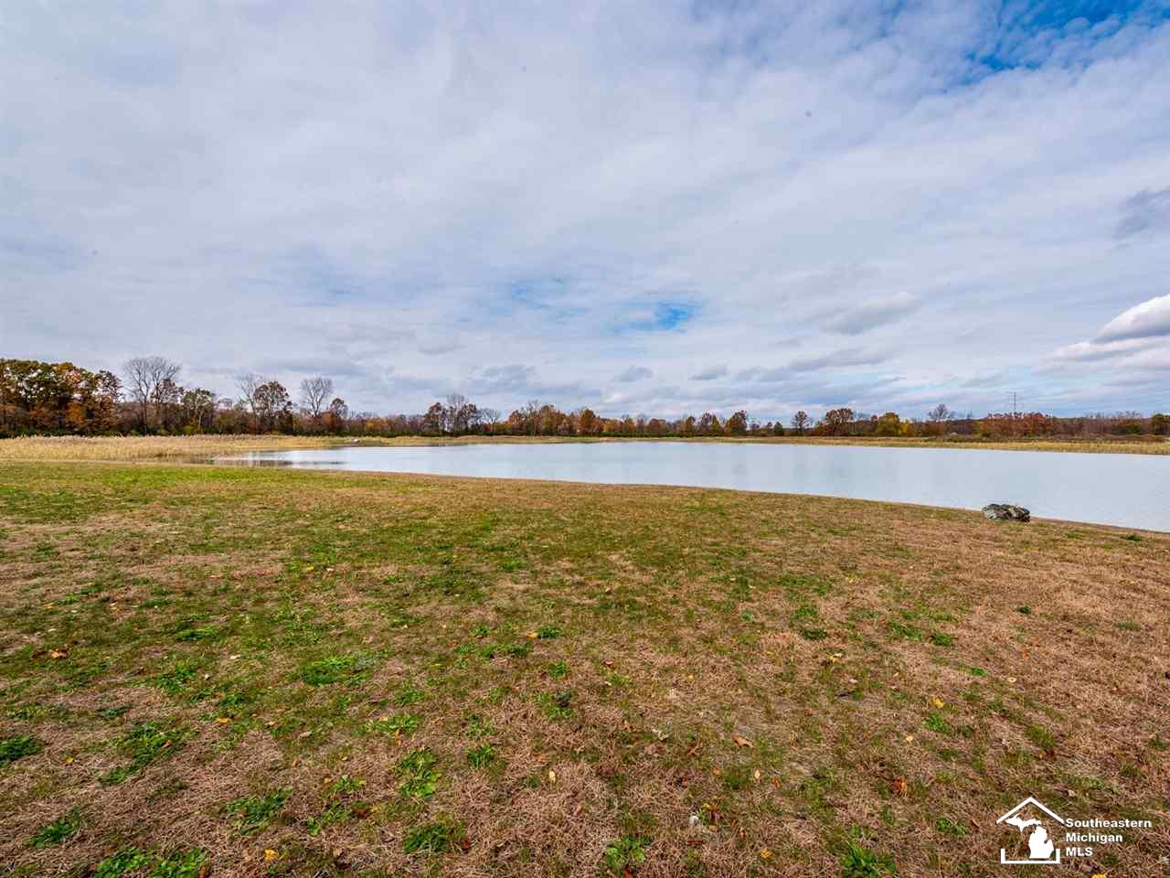 0 Meanwell Road Dundee, MI 48131 - Photo 10 of 19